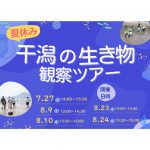 夏休み!干潟の生き物観察ツアー2025